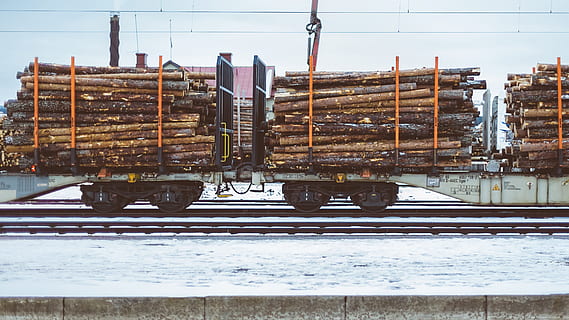lot de troncs de fusta, tràiler, registres, registre, càrrega, fusta, transport, apilats, recurs natural, cap gent, temperatura de fred, dia, neu, naturalesa, hivern, arquitectura, cel, pista, transport per ferrocarril, vies del ferrocarril, manera de transport, indústria, a l'aire lliure, metall, estructura construïda, material de fusta, industria de la construcció, 4K, CC0, domini públic, lliure de regalies