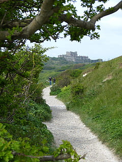 scogliere bianche, Dover castello, costa, sentiero, lontano, sentiero costiero, Inghilterra, Regno Unito, pianta, albero, natura, giorno, mezzi di trasporto, colore verde, crescita, erba, persone reali, stili di vita, attività di svago, la strada davanti, strada, direzione, terra, due persone, persone, bellezza nella natura, modo di trasporto, all'aperto, equitazione, 4K, CC0, dominio pubblico, privo di copyright