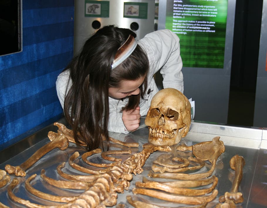 nen, ciència, observació, esquelet, prehistòria, una persona, persones reals, a l'interior, infància, noies, dones, menjar dolç, al forn, estils de vida, tirada al cap, vista frontal, femelles, taula, dolç, roba casual, representació, menjar, temptació, pentinat, vitrina, 2K