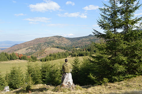 om, ședință, singur, arbore copac, cu care se confruntă, verde, copaci, Munte, clar, albastru, noros, cer, femeie, holbat, camp, timpul zilei, pădure, copac, persoană, natură, meditaţie, peisaj, medita, privi, bărbat ședinței, vedere, perspectivă, orizont, plantă, frumusețe în natură, scenice - natura, o scenă liniștită, liniște, creştere, Culoarea verde, zi, teren, reprezentare, nor - cer, scenă non-urbană, reprezentare umană, mediu inconjurator, în aer liber, 5K, CC0, domeniu public, fără drepturi de autor