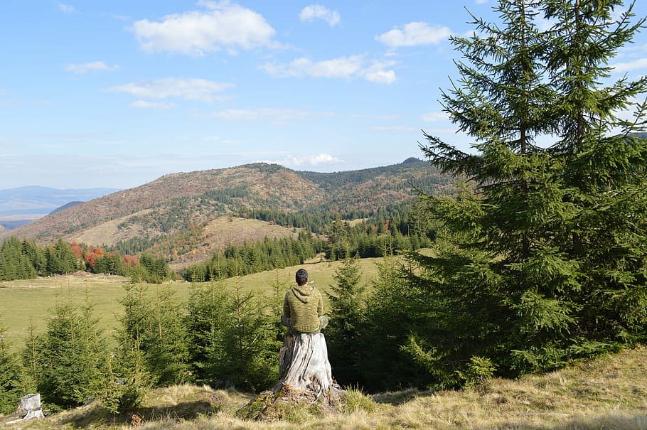 om, ședință, singur, arbore copac, cu care se confruntă, verde, copaci, Munte, clar, albastru, noros, cer, femeie, holbat, camp, timpul zilei, pădure, copac, persoană, natură, meditaţie, peisaj, medita, privi, bărbat ședinței, vedere, perspectivă, orizont, plantă, frumusețe în natură, scenice - natura, o scenă liniștită, liniște, creştere, Culoarea verde, zi, teren, reprezentare, nor - cer, scenă non-urbană, reprezentare umană, mediu inconjurator, în aer liber, 5K