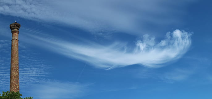Brun, beton, tårn, hvid, skyer, dagtimerne, hvide skyer, himmel, skorsten, storke, Storchennest, blå, skyer form, industri, fabrik, fabriksskorsten, fugl reden, stork, sky - himmel, natur, udendørs, lav vinkel visning, ingen mennesker, arkitektur, bygget struktur, dag, høj - høj, skønhed i naturen, cloudscape, ro, rolig scene, meddelelse, teknologi, tjavsede, direkte under, Spir, global kommunikation, meteorologi, 5K, CC0, offentligt domæne, royaltyfrie