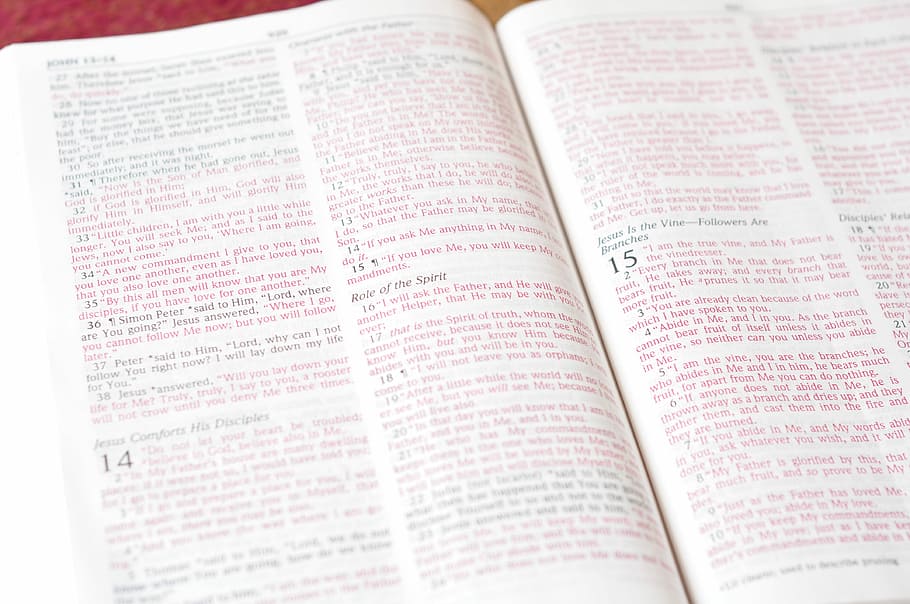 obert, bíblia, Escriptura, religió, llibre, cristianisme, Déu, Sant, jesús, Crist, fe, religiós, paper, a l'interior, periòdic, cap gent, primer pla, dia, publicació, text, natura morta, comunicació, guió occidental, educació, vista d’angle alt, marc complet, pàgina, creença, enfocament selectiu, nombre, 4K