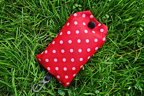bainha, caso, tampa, botão, gancho de engate, acessório, guardada, Bolsa, Bolsa de compras, vermelho, bolinhas, bolinhas brancas, visto, grama, plantar, cor verde, natureza, terra, visão de alto ângulo, campo, fechar-se, ninguém, dia, crescimento, fungo, de bolinhas, cogumelo, ao ar livre, beleza na natureza, Comida, frescura, borboleta - inseto, 4K, CC0, domínio público, royalty free