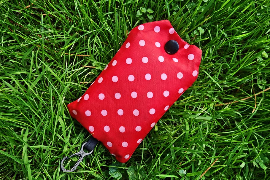 funda, cas, coberta, botó, snaphook, accessori, plegat, bossa, bossa de la compra, vermell, pigues, lunars blancs, tacat, herba, planta, color verd, naturalesa, terra, vista d’angle alt, camp, primer pla, cap gent, dia, creixement, fong, lunars, bolets, a l'aire lliure, bellesa a la natura, menjar, frescor, papallona - insecte, 4K