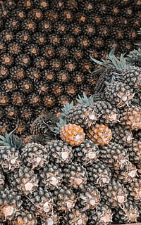 ananas parti, ananas, frugt, mønster, organisk, bunke, baggrunde, fuld ramme, ingen mennesker, natur, tæt på, dag, høj vinkel visning, plante, stor gruppe af objekter, mad, udendørs, mad og drikke, overflod, friskhed, nåletræ, selektiv fokusering, vækst, grankogle, træ, fyrretræ, 4K, CC0, offentligt domæne, royaltyfrie