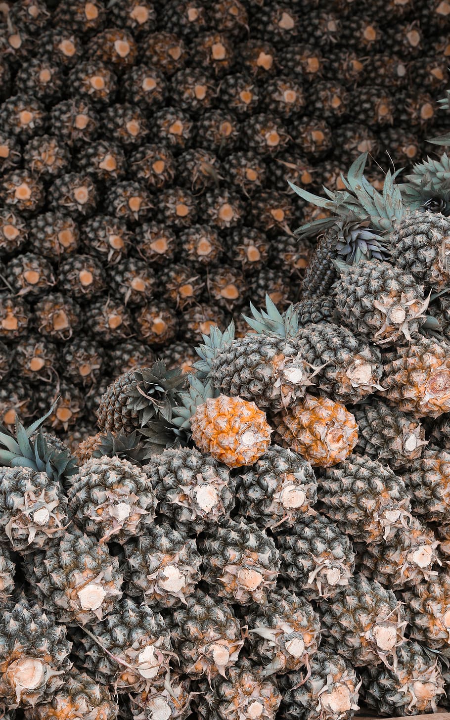 ananas parti, ananas, frugt, mønster, organisk, bunke, baggrunde, fuld ramme, ingen mennesker, natur, tæt på, dag, høj vinkel visning, plante, stor gruppe af objekter, mad, udendørs, mad og drikke, overflod, friskhed, nåletræ, selektiv fokusering, vækst, grankogle, træ, fyrretræ, 4K