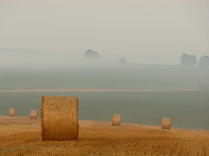photographie de paysage, foins, marron, champ d'herbe, jour, herbe, champ, journée, temps, brouillard, balle, agriculture, la nature, scène rurale, paysage, ferme, récolte, surgir, jaune, blé, paille, en plein air, été, ciel, paysages, l'automne, scène non urbaine, couleur or, industrie, personne, plante céréalière, tranquillité, beauté dans la nature, scène tranquille, terre, plante, environnement, paysages - nature, 4K, CC0, domaine public, libre de droits