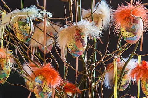 flerfarvede, note print pels decors, kviste, påske, påskeæg, påske indretning, Påske hare, forår, vækst, blomst, plante, natur, tæt på, skønhed i naturen, skrøbelighed, dag, ingen mennesker, udendørs, fokus på forgrunden, blomstrende plante, friskhed, sårbarhed, hængende, dyr, blomsterhoved, marked, plantestamme, blomsterstand, 5K, CC0, offentligt domæne, royaltyfrie