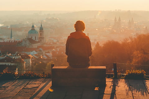 person, wearing, black, red, hoodie, sitting, bench, daytime, sunset, famous Place, cityscape, architecture, outdoors, people, statue, dusk, rear view, real people, building exterior, city, built structure, sky, one person, nature, fog, sunlight, men, standing, lifestyles, city life, looking at view, 2K