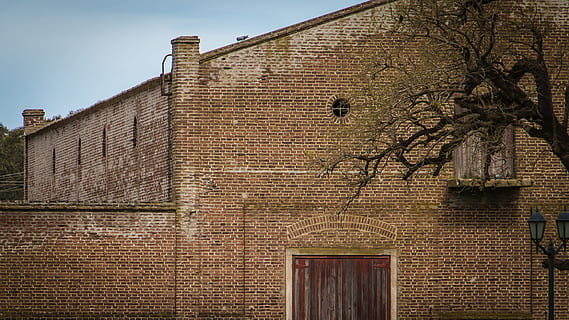 barraca, maó, construcció, arquitectura, estructura construïda, exterior de l'edifici, edifici, cap gent, planta, funció de construcció de parets, naturalesa, paret, paret de maó, història, arbre, a l'aire lliure, el passat, dia, finestra, marró, vell, barri residencial, concret, 4K, CC0, domini públic, lliure de regalies