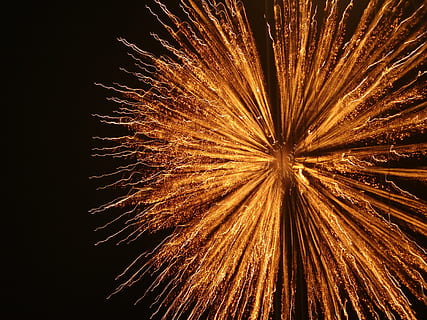Pyrotechnik, Feuerwerk, Explosion, beleuchtet, Kunst, Kultur und Unterhaltung, Bewegung, Feier, Nacht-, Veranstaltung, explodiert, Langzeitbelichtung, keine Leute, glühend, Bewegungsunschärfe, Himmel, Funken, Flachwinkelansicht, Feuerwerk - künstliches Objekt, Licht, Natur, draußen, 4K, CC0, gemeinfrei, lizenzfrei