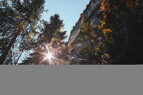 grön, leafed, Granar, träd vid klippan, ljus, Sol, träd, berg, natur, växt, himmel, solljus, inget folk, solstråle, tillväxt, lågvinkelvy, linsflare, silhuett, utomhus, skönhet i naturen, arkitektur, dag, byggd struktur, lugn, byggnad exteriör, landa, streaming, 4K, CC0, offentligt domän, royaltyfria