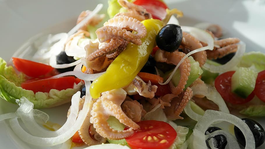 verdures amb calamars, peix, calamar, pop, calamari, amanida, cogombre, tomàquet, pebre vermell, apetitós, deliciós, menjar, frisch, cuinar, menjar i beguda, fruita, alimentació saludable, frescor, llest per menjar, vegetals, benestar, a l'interior, cap gent, primer pla, elecció, variació, placa, centrar-se en primer pla, natura morta, Oliva, berenar, decorar, 5K