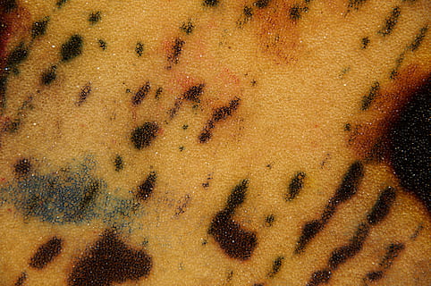 fundo, perto, esponja, estrutura, textura, amarelo, dab, farbkleckse, absorver, gradiente, Estruturas, origens, cor, colorida, página de recados, sucatear, temas animais, animal, animais selvagens, animais em estado selvagem, invertebrado, ninguém, grupo de animais, quadro completo, fechar-se, inseto, grande grupo de animais, formiga, Castanho, zoologia, marcações de animais, mamífero, padrão natural, parte do corpo animal, 4K, CC0, domínio público, royalty free