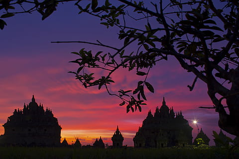silhuet foto, træer, silhuetfotografi, slotte, solnedgang, himmel, træ, tempel, skyer, farverig, lyserød himmel, religion, indonesium, stupa, landskab, Plaosan, arv, smuk, arkitektur, bygning udvendig, bygget struktur, rejsemål, natur, silhuet, skønhed i naturen, historie, bygning, sted for tilbedelse, fortiden, sky - himmel, plante, rejse, tro, ingen mennesker, udendørs, gamle civilisation, 5K, CC0, offentligt domæne, royaltyfrie