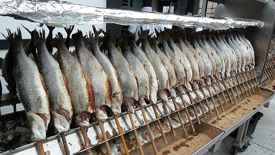 Ryba, treska, uzený, steckerlfisch, jídlo a pití, jídlo, svěžest, na prodej, plody moře, obratlovců, trh, zvíře, velká skupina objektů, uspořádání, maloobchodní, v řadě, nikdo, závěsný, hojnost, blahobyt, syrové potraviny, Zdravé stravování, rybí trh, objednat, maloobchodní displej, odvětví rybolovu, Prodej, 4K, CC0, veřejná doména, bez autorských práv