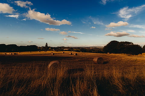 pacas, heno, campo, foto, rodar, hays, tiempo de día, granja, campos, rollos, hierba, país, cielo, nubes, sol, paisaje, agricultura, naturaleza, escena tranquila, tranquilidad, scenics, belleza en la naturaleza, escena rural, nube - cielo, ambiente, tierra, planta, paisajes - naturaleza, bala, cosecha, árbol, nadie, al aire libre, 5K