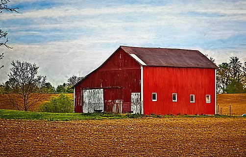 lade, rustik, staldene, ohio, digital kunst, landdistrikterne, naturskøn, Land, landskabet, landskab, skur, skure, gård, gårde, landbrug, landbrugs, stuehus, Champaign, region, americana, Foto, fotografi, struktur, strukturer, sturgell, william sturgell, bill sturgell, historisk, hjem indretning, bygninger, skyer, himmel, træ, træer, overskyet, ukrudt, champaign county, Urbana, bygget struktur, arkitektur, bygning udvendig, sky - himmel, bygning, plante, landbrugsbygning, dag, natur, ingen mennesker, hus, jord, Mark, rød, landlige scene, udendørs, 2K, CC0, offentligt domæne, royaltyfrie