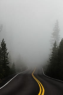 vuoto, strada, circondato, alberi, nebbia, nebbioso, calcestruzzo, verde, bene, nube, albero, pianta, direzione, mezzi di trasporto, cartello, nessuno, bellezza nella natura, la strada davanti, natura, temperatura fredda, scena non urbana, curva, tortuosa strada, ambiente, la tranquillità, inverno, simbolo, viaggio su strada, linea di divisione, 5K, CC0, dominio pubblico, privo di copyright