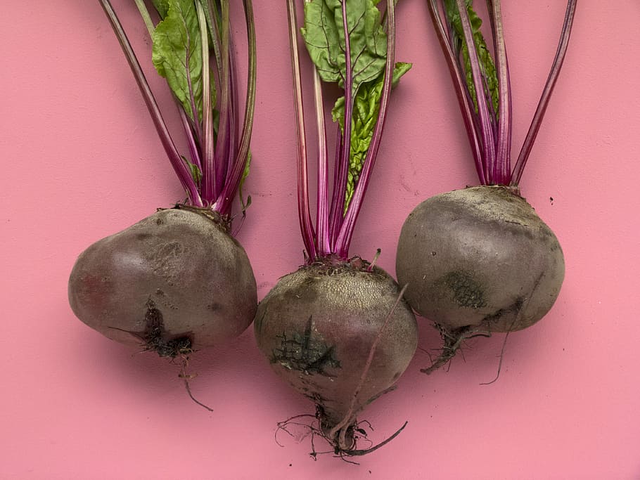 flere løg, tre røde løg, rødbede, roer, blad, chard, lilla, grøntsag, lyserød, flatlay, foodism360, mad + drikke, farve, monokromatisk, stilleben, tre, mad, mad og drikke, sund kost, friskhed, rodfrugt, velvære, ingen mennesker, indendørs, fælles sukkerroer, plante, rå fødevarer, studio skud, organisk, farvet baggrund, natur, tæt på, høj vinkel visning, 4K