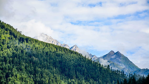 Kiefer, tagsüber, Hang, Berge, Baum, Wald, Landschaft, Steigung, Hügel, Grün, draussen, Berglandschaft, alpin, Spitzen, Gipfel, Hochland, Natur, Tag, Berg, szenen, keine Leute, Schönheit in der Natur, draußen, wolke - himmel, Himmel, Pflanze, Szenen - Natur, ruhige Szene, Land, Ruhe, Nicht-städtische Szene, grüne Farbe, Umgebung, Wachstum, Flachwinkelansicht, Kiefernwald, Nadelbaum, 5K, CC0, gemeinfrei, lizenzfrei