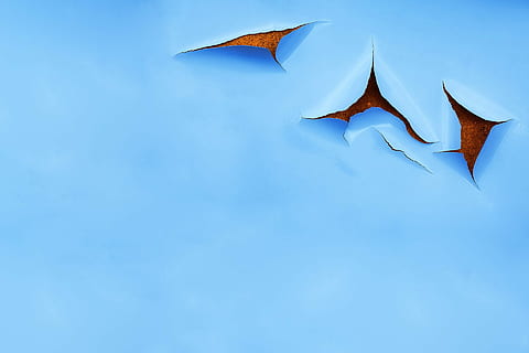 blau gestrichene Wand, Struktur, Blau, rostfrei, Textur, Hintergrund, abstrakt, Muster, Farbe, Oberfläche, Hintergründe, Metall, minimal, keine Leute, fliegend, kopieren sie platz, Papier-, Himmel, Natur, Wirbeltier, Tier, in der Luft, Tierthemen, draußen, Vogel, Kunst und Handwerk, Nahansicht, gestalten, Kreativität, klarer Himmel, Blauer Hintergrund, 1080P, CC0, gemeinfrei, lizenzfrei