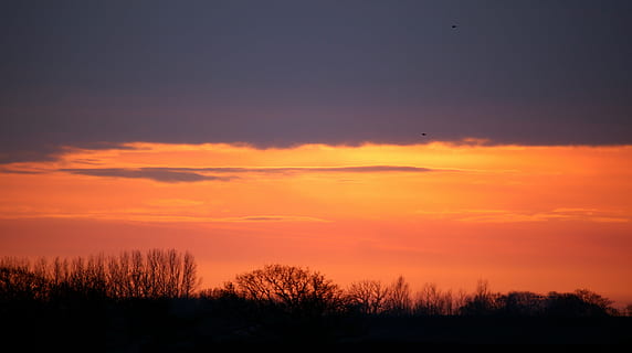 tramonto, nube, cielo, himmel, nuvola - cielo, silhouette, bellezza nella natura, scenics - natura, la tranquillità, scena tranquilla, pianta, colore arancione, nessuno, natura, albero, cielo drammatico, ambiente, buio, paesaggio, soggezione, all'aperto, idilliaco, cielo romantico, 5K, CC0, dominio pubblico, privo di copyright
