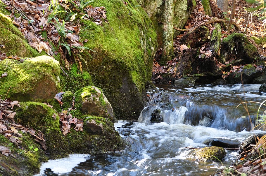 cascata, floresta, Ribeiro, rock - objeto, agua, ninguém, natureza, musgo, Rocha, beleza na natureza, sólido, plantar, scenics - natureza, movimento, água corrente, árvore, Exposição longa, crescimento, movimento borrado, terra, fluindo, ao ar livre, córrego - água corrente, poder na natureza, 4K