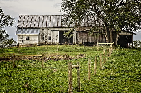 lade, rustik, staldene, ohio, digital kunst, landdistrikterne, naturskøn, Land, landskabet, landskab, skur, skure, gård, gårde, landbrug, landbrugs, stuehus, Champaign, region, americana, Foto, fotografi, struktur, strukturer, sturgell, william sturgell, bill sturgell, historisk, hjem indretning, bygninger, skyer, himmel, træ, træer, overskyet, ukrudt, champaign county, Urbana, arkitektur, bygget struktur, bygning udvendig, plante, bygning, Mark, natur, jord, vækst, hus, grøn farve, græs, dag, ingen mennesker, boligområde, landlige scene, landbrugsbygning, udendørs, ødelagt, 5K, CC0, offentligt domæne, royaltyfrie