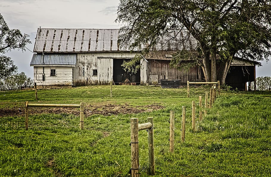 lade, rustik, staldene, ohio, digital kunst, landdistrikterne, naturskøn, Land, landskabet, landskab, skur, skure, gård, gårde, landbrug, landbrugs, stuehus, Champaign, region, americana, Foto, fotografi, struktur, strukturer, sturgell, william sturgell, bill sturgell, historisk, hjem indretning, bygninger, skyer, himmel, træ, træer, overskyet, ukrudt, champaign county, Urbana, arkitektur, bygget struktur, bygning udvendig, plante, bygning, Mark, natur, jord, vækst, hus, grøn farve, græs, dag, ingen mennesker, boligområde, landlige scene, landbrugsbygning, udendørs, ødelagt, 5K