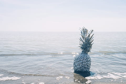 ananas, desert, aperitiv, fruct, suc, a decupa, plajă, ocean, mare, nisip, apă, orizontul peste apă, orizont, natură, liniște, nici o persoana, teren, cer, o scenă liniștită, zi, scenice - natura, frumusețe în natură, spațiu copie, plantă, în aer liber, lumina soarelui, cer senin, 5K, CC0, domeniu public, fără drepturi de autor