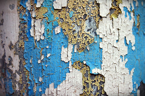 blue, white, painted, wood, textures, texture, old paint, old, decoration, urban, wall, broken, backgrounds, weathered, textured, peeling Off, dirty, wood - Material, cracked, damaged, full frame, peeled, no people, close-up, decline, deterioration, day, wall - building feature, built structure, run-down, architecture, rough, pattern, outdoors, lichen, 2K, CC0, public domain, royalty free
