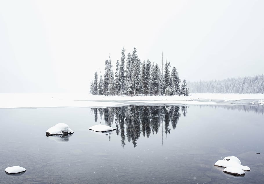 neu, cobert, arbres, cos, aigua, hivern, blanc, fred, temps, gel, naturalesa, viatjar, aventura, reflexió, riu, boscos, bosc, fred - temperatura, arbre, paisatge, gelades, congelat, escenics, temperatura de fred, bellesa a la natura, escenics - natura, tranquil·litat, escena tranquil·la, dia, planta, llac, escena no urbana, cel, cap gent, a l'aire lliure, flotant a l'aigua, 5K