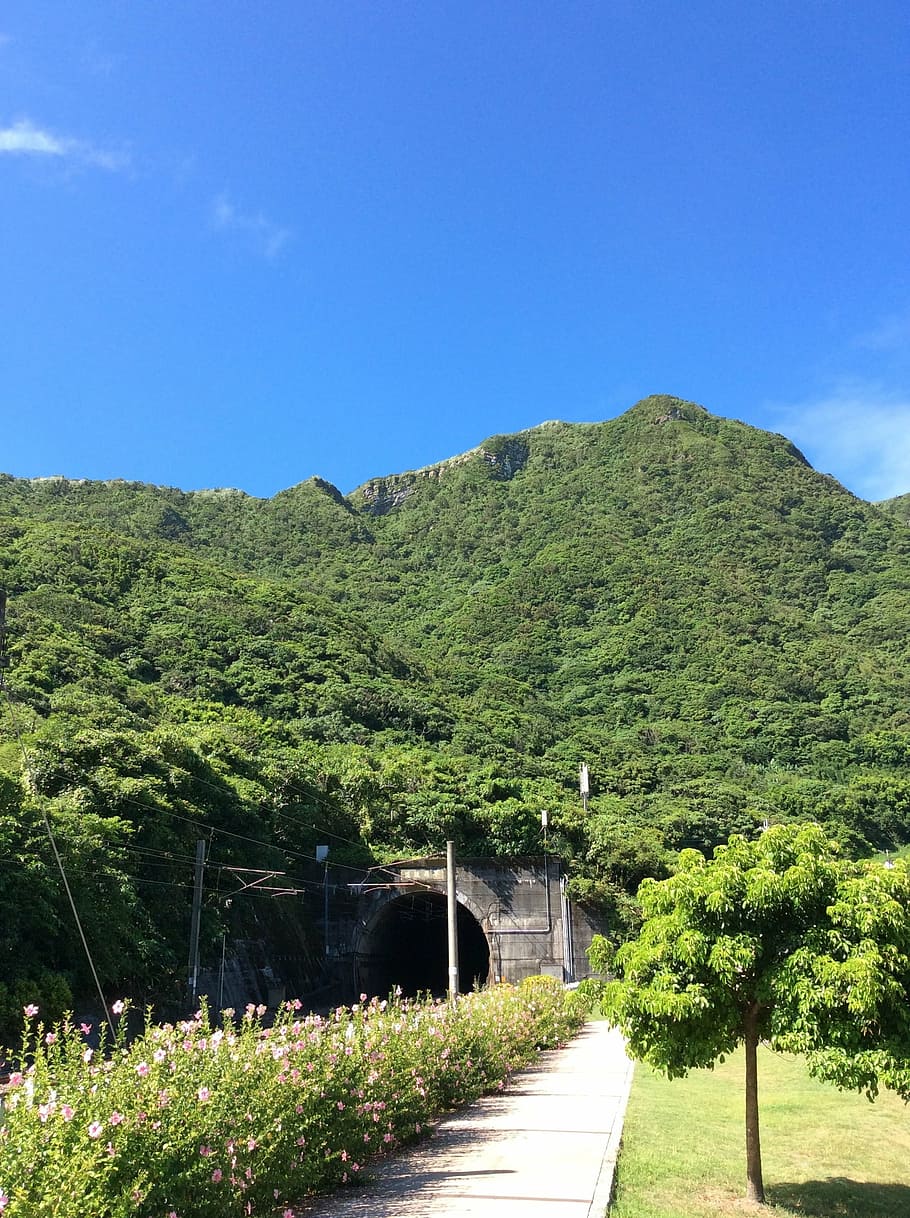 bjerg, tunnel, træer, natur, træ, grøn farve, plante, udendørs, himmel, vækst, skønhed i naturen, ro, ingen mennesker, dag, blå, rolig scene, landskab, skyfri himmel, sollys, kopiere plads, scenics - natur, bygget struktur, arkitektur, 2K