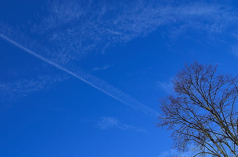 blue, clouds, branch, tree, sky, background, white, cloud, cloud - sky, vapor trail, low angle view, no people, plant, beauty in nature, nature, scenics - nature, day, tranquility, copy space, outdoors, bare tree, tranquil scene, backgrounds, sunlight, treetop, wispy, directly below, 1080P, CC0, public domain, royalty free