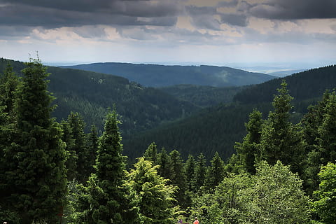 montagna, verde, alberi, foresta, vista, vista distante, foresta della Turingia, natura, albero, paesaggio, all'aperto, Paesaggi, cielo, estate, nuvola - cielo, pianta, bellezza nella natura, scenics - natura, la tranquillità, scena tranquilla, colore verde, crescita, scena non urbana, nessuno, giorno, ambiente, idilliaco, fogliame lussureggiante, albero di conifere, 5K, CC0, dominio pubblico, privo di copyright