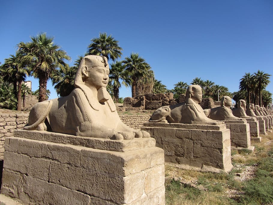 faraó, esfinx, Egipte, vell, escultura, egipci, pedra, luxor, monument, el passat, antiga ruïna, història, civilització antiga, arbre, destinacions de viatge, art i artesania, estàtua, representació humana, representació, cel, arquitectura, cap gent, creativitat, naturalesa, artesania, planta, dia, antic, semblança masculina, material de pedra, a l'aire lliure, arqueologia, 4K