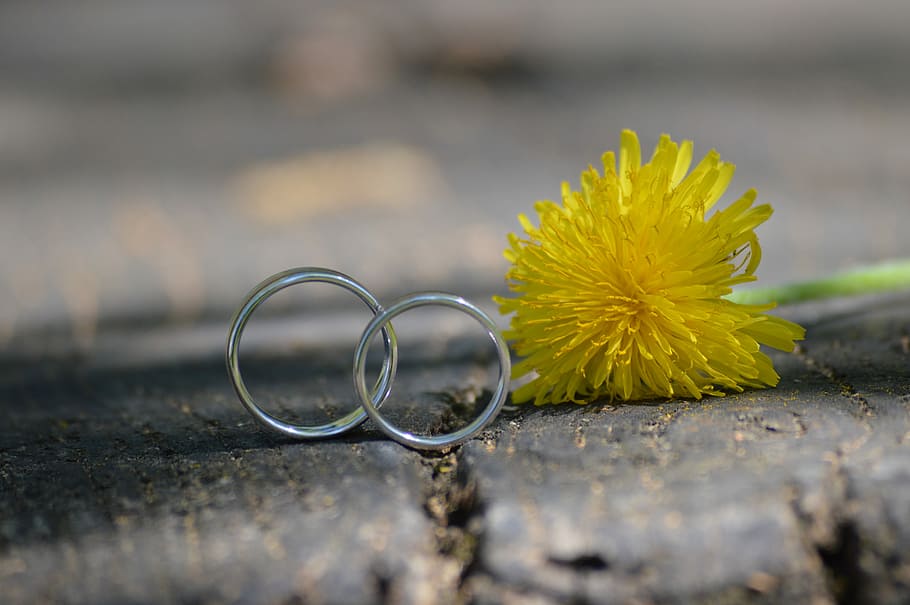 gul, kronblad blomster, etage, bryllup, ring, vielsesring, plante, brud, buket, gift par, blomst, kærlighed, hoop, ægteskab, smuk, blomstrende plante, selektiv fokusering, tæt på, natur, friskhed, skrøbelighed, ingen mennesker, sårbarhed, dag, udendørs, blomsterstand, skønhed i naturen, blomsterhoved, fokus på forgrunden, træ - materiale, stilleben, 4K
