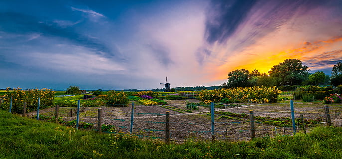 Evening, Wind Mill, Sunset, mill, peaceful, view, nature, brand, cloud - sky, field, sky, no people, scenics, plant, tree, beauty in nature, architecture, fence, boundary, landscape, barrier, scenics - nature, safety, built structure, grass, outdoors, land, security, 5K, CC0, public domain, royalty free