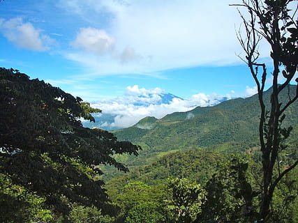 Panama, pilvimetsä, pilviä, taivas, metsä, matkustaa, Keski-Amerikka, loma, matka, ympäristö, luonnonkaunis, matkailu, ulko-, luonto, maisema, vuori, luontomatkailua, ei ihmisiä, päivä, kauneus luonnossa, puu, maisemat - luonto, kasvi, tyyneys, pilvi - taivas, rauhallinen kohtaus, kasvu, ei-kaupunkikuvia, idyllinen, vihreä väri, maa, ulkona, vuorijono, alue, 2K, CC0, public domain, rojaltivapaa