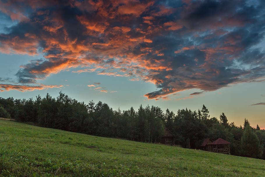nebe, mraky, západ slunce, krajina, Karpaty, cestovat, Příroda, strom, rostlina, krása v přírodě, scenics - příroda, mrak - nebe, klidné scény, klid, životní prostředí, přistát, mimoměstské scény, růst, tráva, nikdo, idylický, pole, oranžová barva, venku, 4K