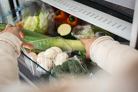 fridge, Vegetables, hands, kitchen, paleo, food, supermarket, human Hand, freshness, store, people, vegetable, healthy Eating, retail, food And Drink, groceries, human body part, adult, adults only, one person, focus on background, hand, holding, indoors, selective focus, close-up, body part, wellbeing, fruit, finger, 5K