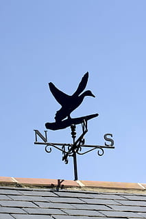 indicador de vent, penell, vent, indicador, ànec, ocell, temps, nord, al sud, a l'est, oest, punter, blau, cel, sostre, rajoles, imatge, foto, volant, ales, cel clar, arquitectura, naturalesa, vista d’angle baix, cap gent, dia, estructura construïda, representació animal, representació, temes d'animals, direcció, còpia espai, a l'aire lliure, exterior de l'edifici, animal, teula de teulada, 1080P, CC0, domini públic, lliure de regalies