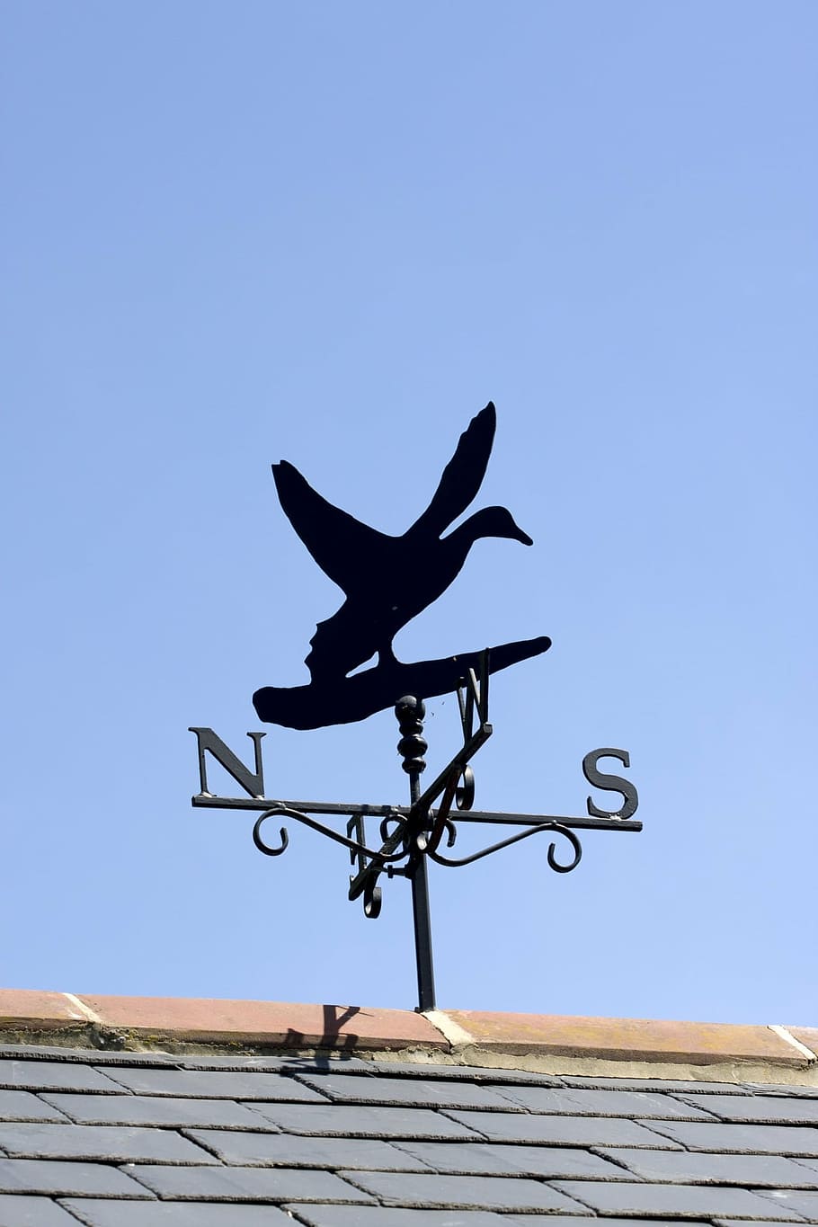 indicador de vent, penell, vent, indicador, ànec, ocell, temps, nord, al sud, a l'est, oest, punter, blau, cel, sostre, rajoles, imatge, foto, volant, ales, cel clar, arquitectura, naturalesa, vista d’angle baix, cap gent, dia, estructura construïda, representació animal, representació, temes d'animals, direcció, còpia espai, a l'aire lliure, exterior de l'edifici, animal, teula de teulada, 1080P