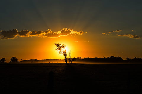 backlit, beautiful, clouds, dawn, dusk, field, idyllic, landscape, light, scenery, scenic, silhouette, sky, sun, sunlight, sunrays, sunrise, sunset, beauty in nature, cloud - sky, nature, tranquil scene, tranquility, tree, plant, orange color, scenics - nature, environment, land, one person, outdoors, 5K, CC0, public domain, royalty free