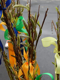 Frühling, Peitsche, Ostern, Pflanze, Wachstum, Blume, keine Leute, grüne Farbe, Blatt, Schönheit in der Natur, Nahansicht, Natur, blühende Pflanze, Frische, Zerbrechlichkeit, Verletzlichkeit, Tag, Pflanzenteil, Fokus auf den Vordergrund, Gelb, Blütenblatt, Blütenkopf, Blütenstand, 4K, CC0, gemeinfrei, lizenzfrei