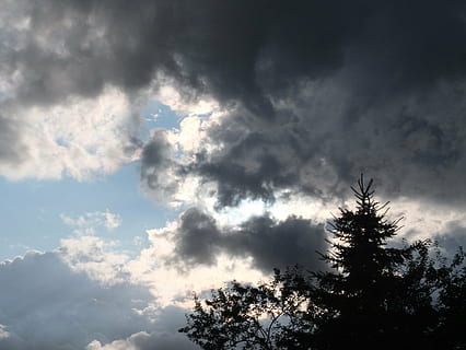 skyer, mørk, helvede, himmel, dyster, aften, humør, træ, gran, natur, sky - himmel, vejr, cloudscape, udendørs, blå, skønhed i naturen, lav vinkel visning, plante, scenics - natur, ingen mennesker, ro, silhuet, dag, rolig scene, overskyet, vækst, storm, idyllisk, trætop, meteorologi, nåletræ, ildevarslende, 2K, CC0, offentligt domæne, royaltyfrie
