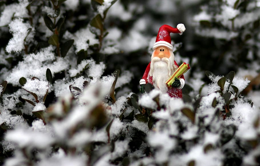dekoration, vinter, jul, sne, legetøj, juledekoration, juletræ, figur, jul ornament, fest, kold temperatur, menneskelig repræsentation, repræsentation, selektiv fokusering, natur, ferie, ingen mennesker, mandlig lighed, dag, Frosset, træ, udendørs, 4K