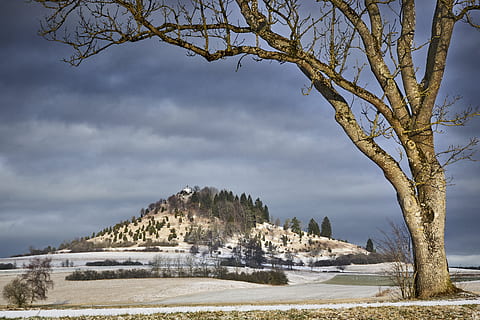 tre, natur, landskap, himmel, farvann, marsj fontenen, soloppgang, vinter, blå, kald, frost, frossen, kornbühl, anlegg, skjønnhet i naturen, ro, naturskjønnhet - natur, vann, sky - himmel, rolig scene, dag, ingen folk, land, miljø, utendørs, ikke-urbane scene, innsjø, kaldtemperatur, 5K, CC0, offentlig domene, opphavsrett gratis